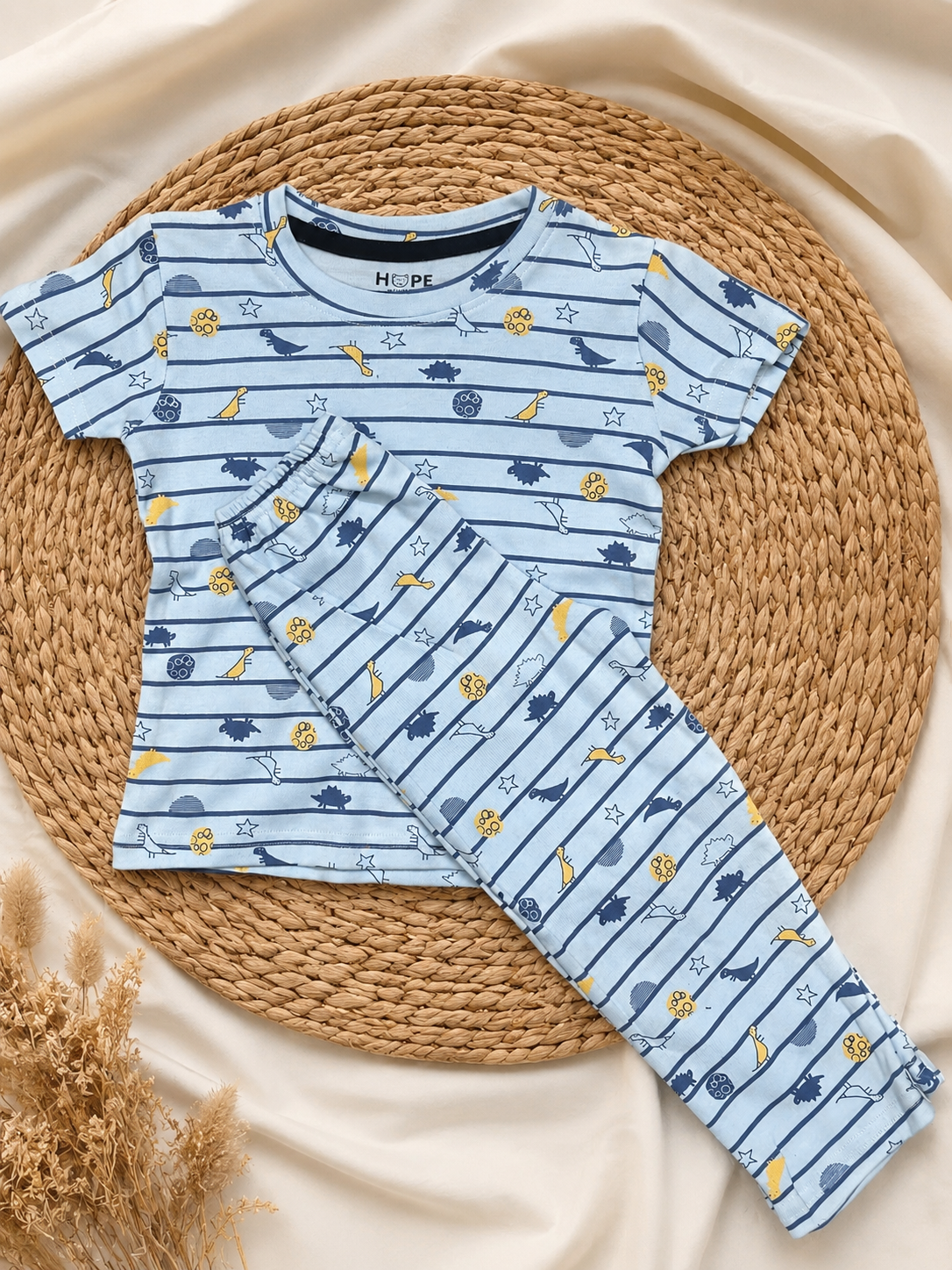 Dino Stripes Dotted Interlock Co-Ord Sets (1 Year to 5 Years)