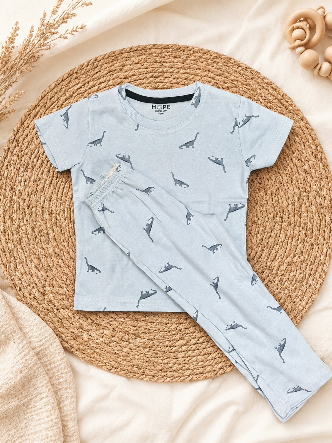 Blue Dino Pant Set (1 Year to 5 Years)