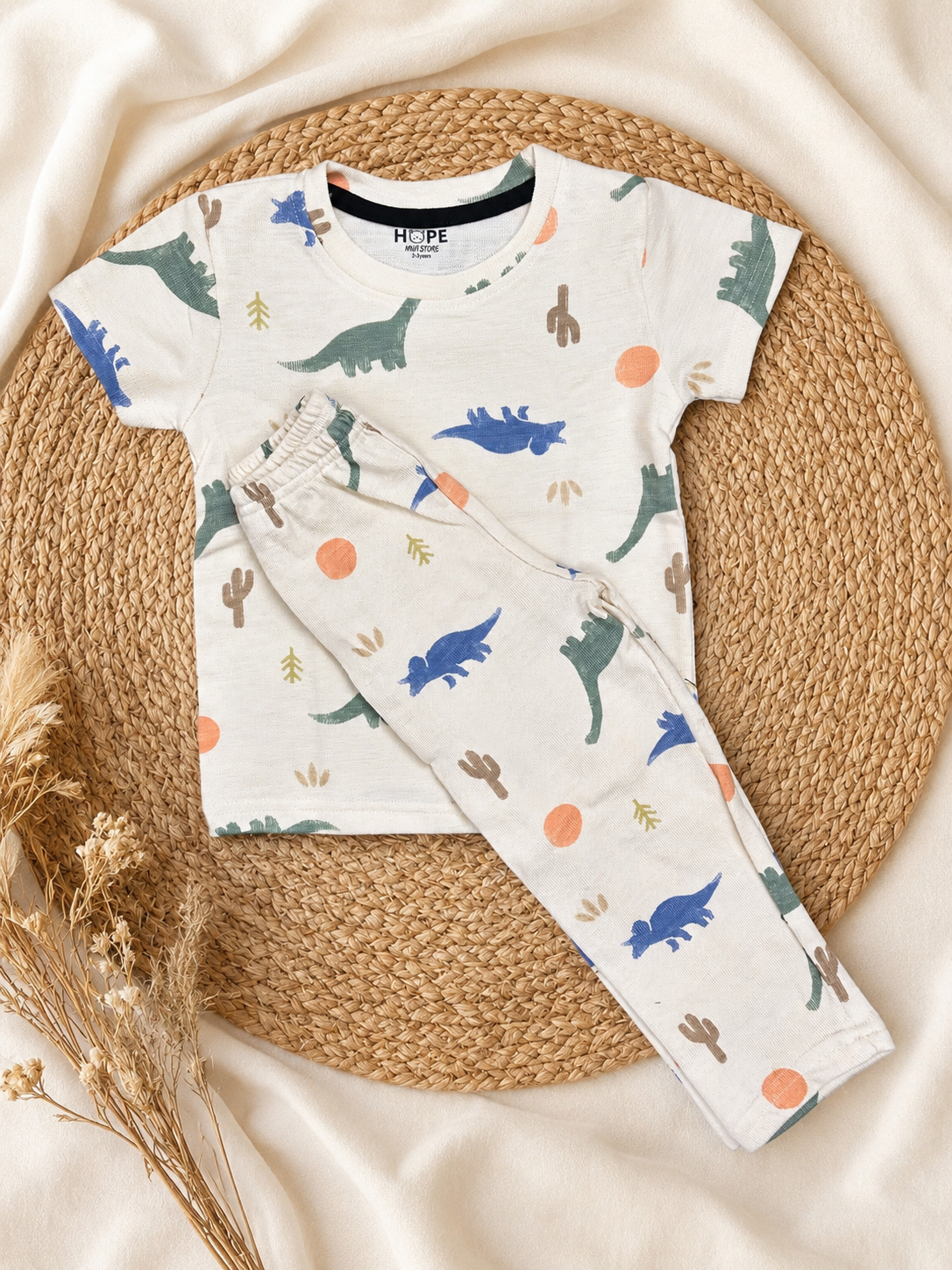 Dessert & Dino Pant Set (1 Year to 5 Years)