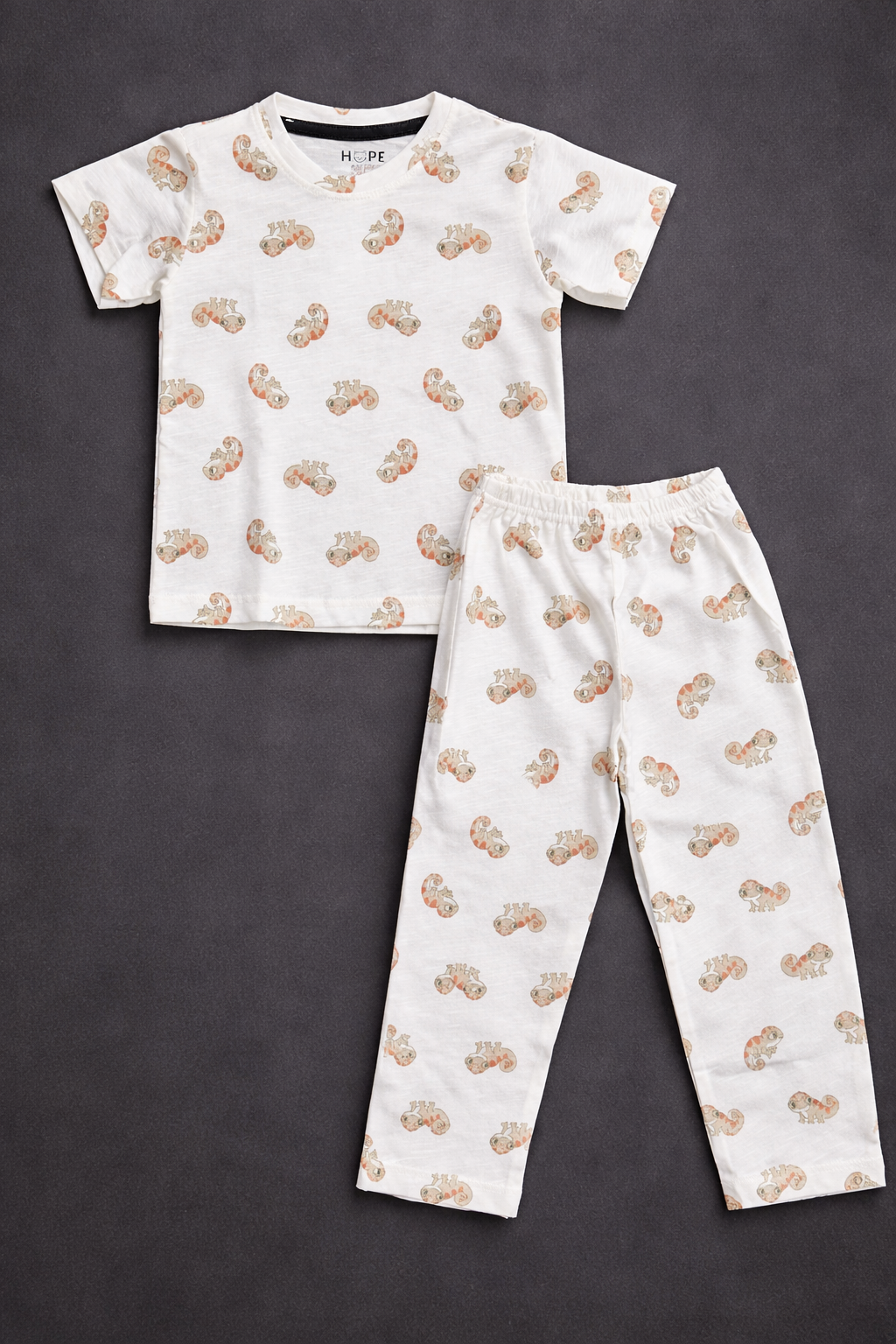 Snail Print Cotton Baby Co-Ord Set (1 to 5 Years)